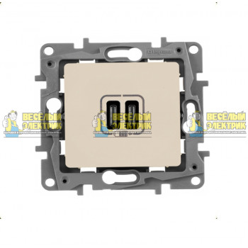 Зарядное устройство с двумя USB-разьемами 3000 мА тип-С (слоновая кость) Legrand Etika