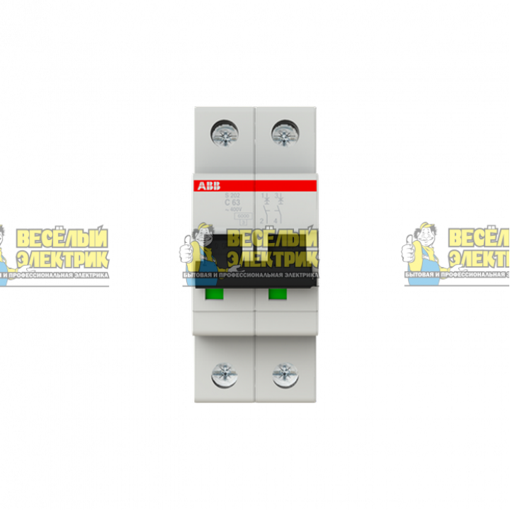 Автоматический выключатель 2-полюсной ABB S202 C63