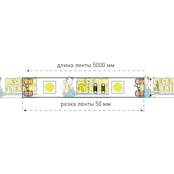 Лента светодиодная стандарт 5050 синий цвет свечение SWG ( 5m )